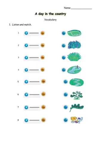 A day in the country