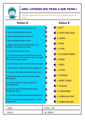 Alat pernapasan hewan dan manusia