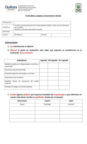 Pueblos Originarios. Pueblo Mapuche