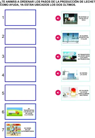 Proceso de producción de la leche