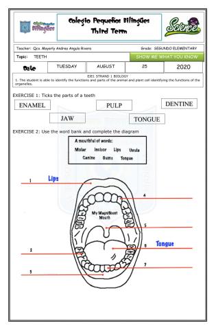 Exam goal 1 - second grade-third term -science