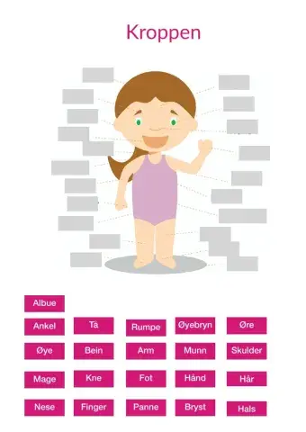Kroppen