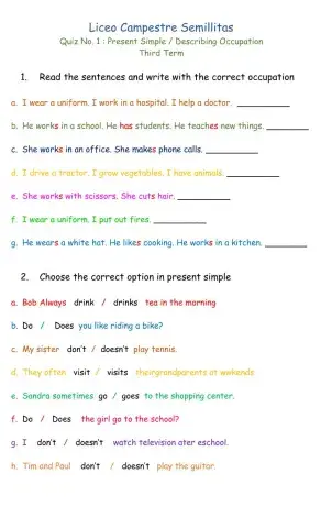 Quiz No.1 Present Simple - Describing Occupation