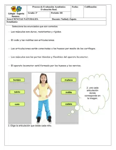 Taller evaluativo ciencias