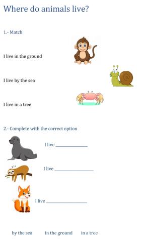 Where do animals live?