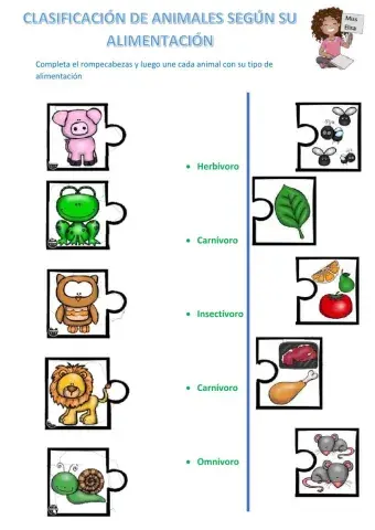 Clasificación de los animales según su alimentación