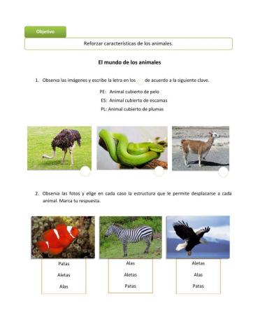 Caracteristicas de los animales