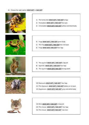 Exotic animals have got-has got