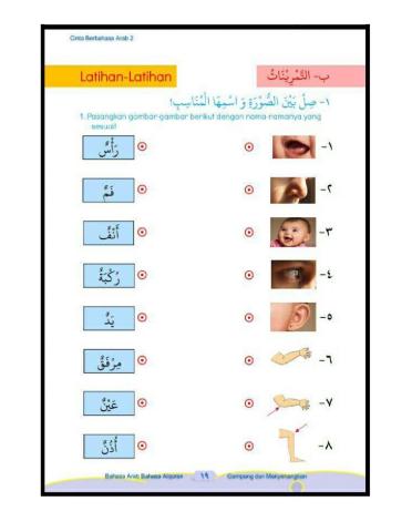 Bahasa arab kelas 2 anggota tubuh
