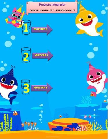 Proyecto espuma de jabón