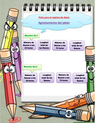 Ficha de registro agrietamiento del jabón