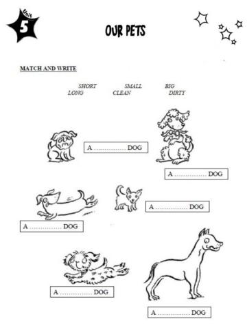 Our Pets- Animals and Adjectives