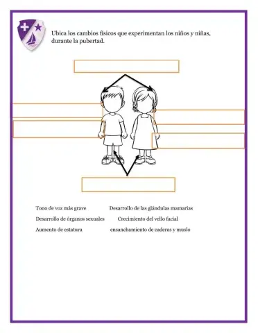 Cambios físicos en la pubertad