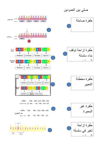الطفرة الجينية