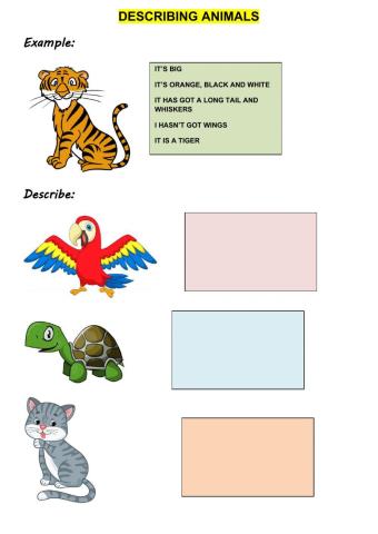 Describing animals