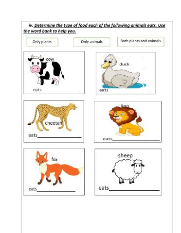 What do living things need?