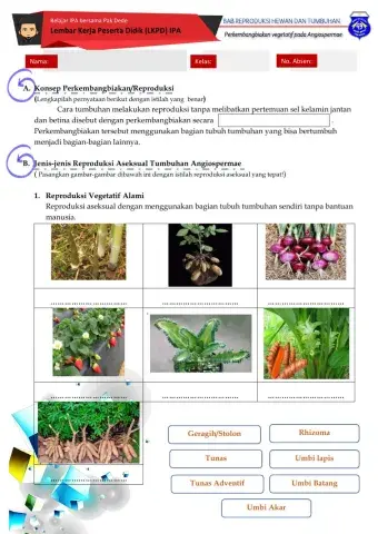 LKPD Reproduksi Vegetatif Angiospermae