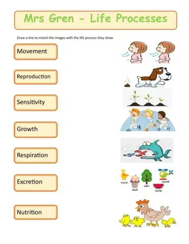 Mrs Gren - Life Processes