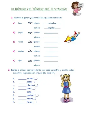 Genero y número
