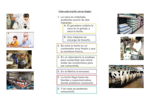 Circuito productivo de la leche