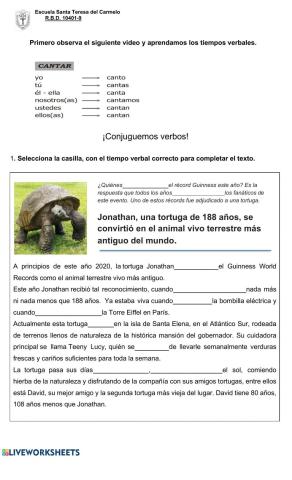 Identificar el verbo