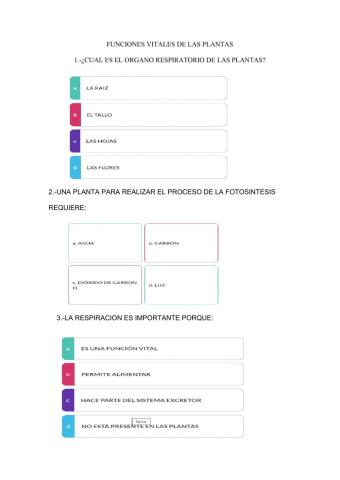 La respiracion delas plantas