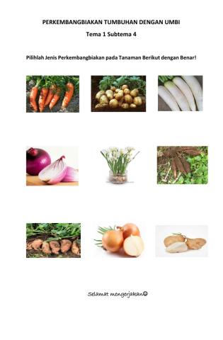 Perkembangbiakan tanaman