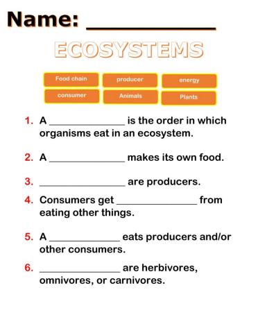 Food chain classwork