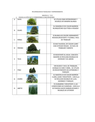 Maderas duras y blandas