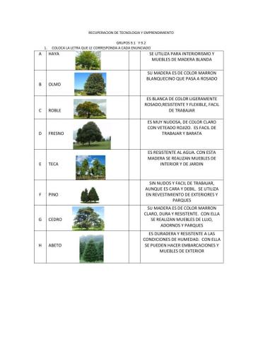 Maderas duras y blandas