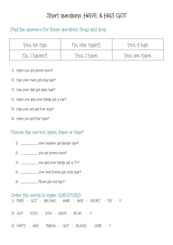 have-has got: short questions