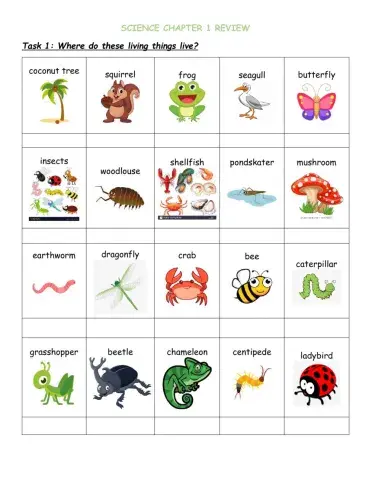 Science smart chapter 1 review