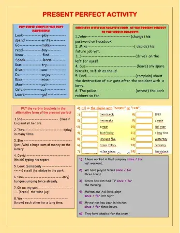Present perfect activity