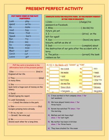 Present perfect activity
