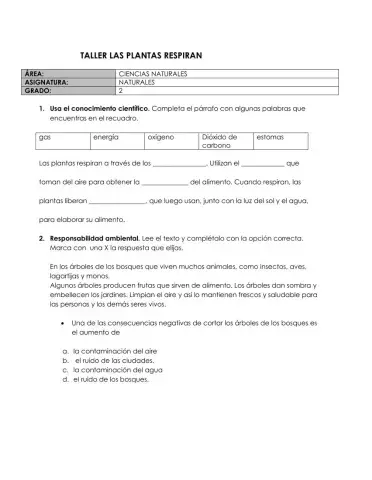 Las plantas respiran