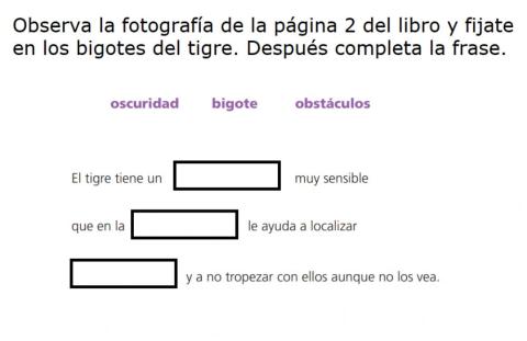 Completa las oraciones