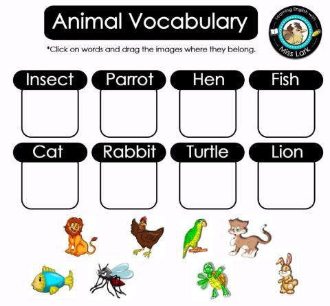 Animal Vocabulary