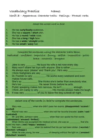 Vocabulary Practice Unit 3