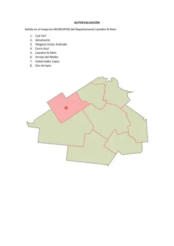 Depto Leandro N Alem