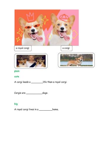 Comparative and Superlative. Reading about Corgis