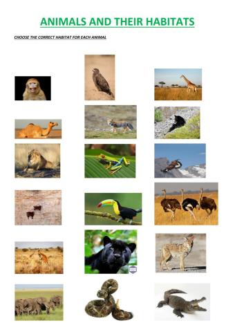 Animals and their habitats