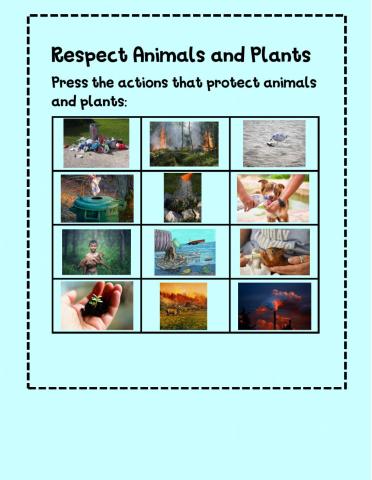 Respect Animals and Plants