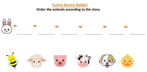 Funny bunny rabbit - Order the animals