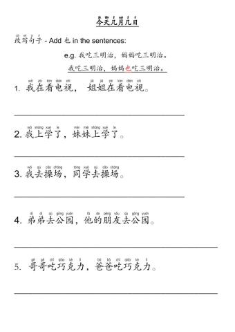 汉语第三册 Ch 1 也句子练习
