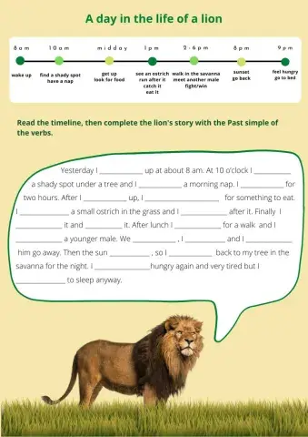 A day in the life of an animal