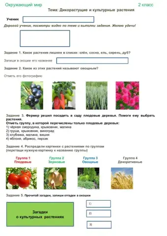 Окружающий мир 2 класс