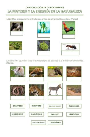 Nutrición autótrofa y heterótrofa