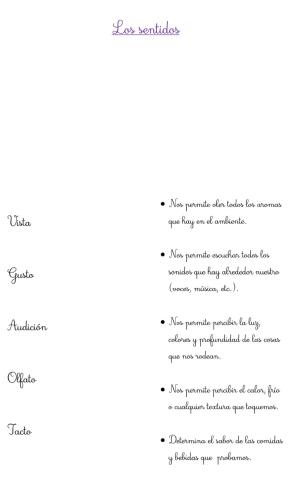 Los sentidos -  4 DE SEPTIEMBRE