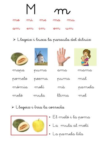 Lletra m
