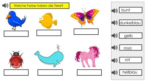 Welche Farbe haben die Tiere 1